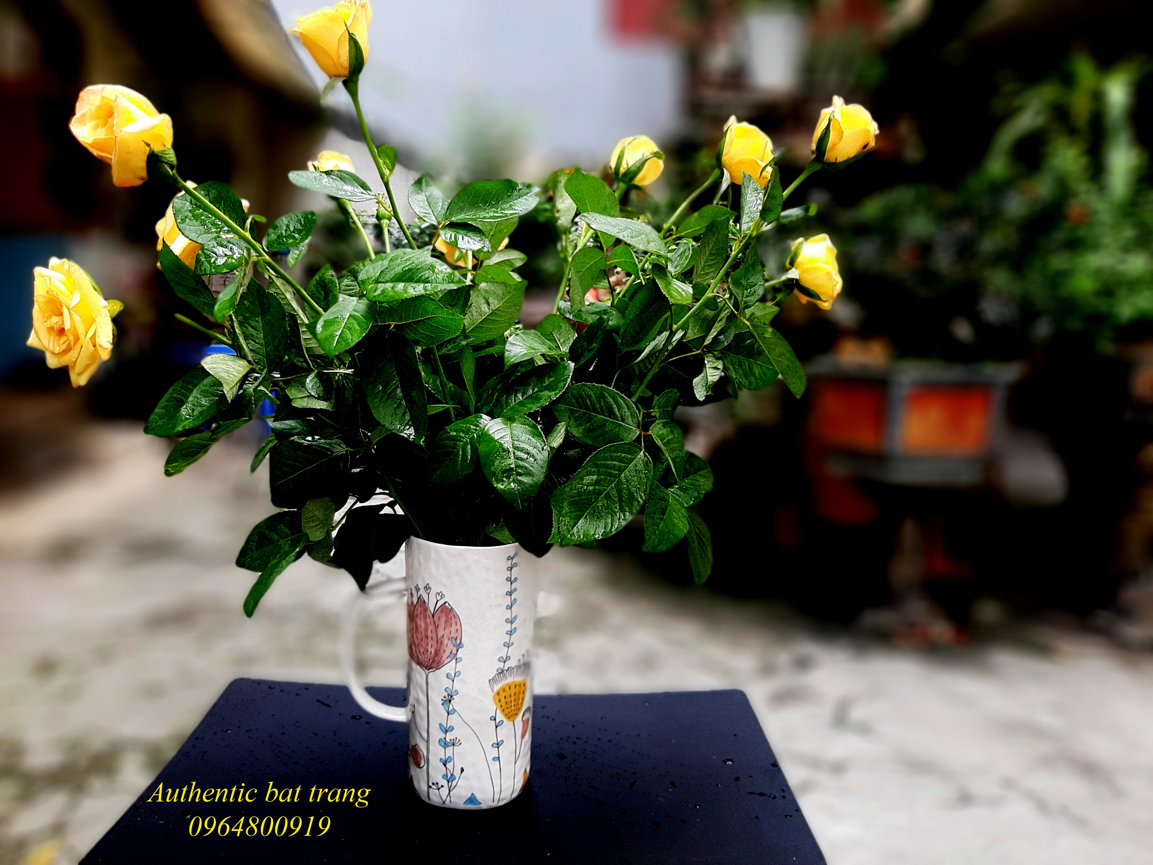 Milk jug - bình cắm hoa đẳng cấp cho mọi thời đại