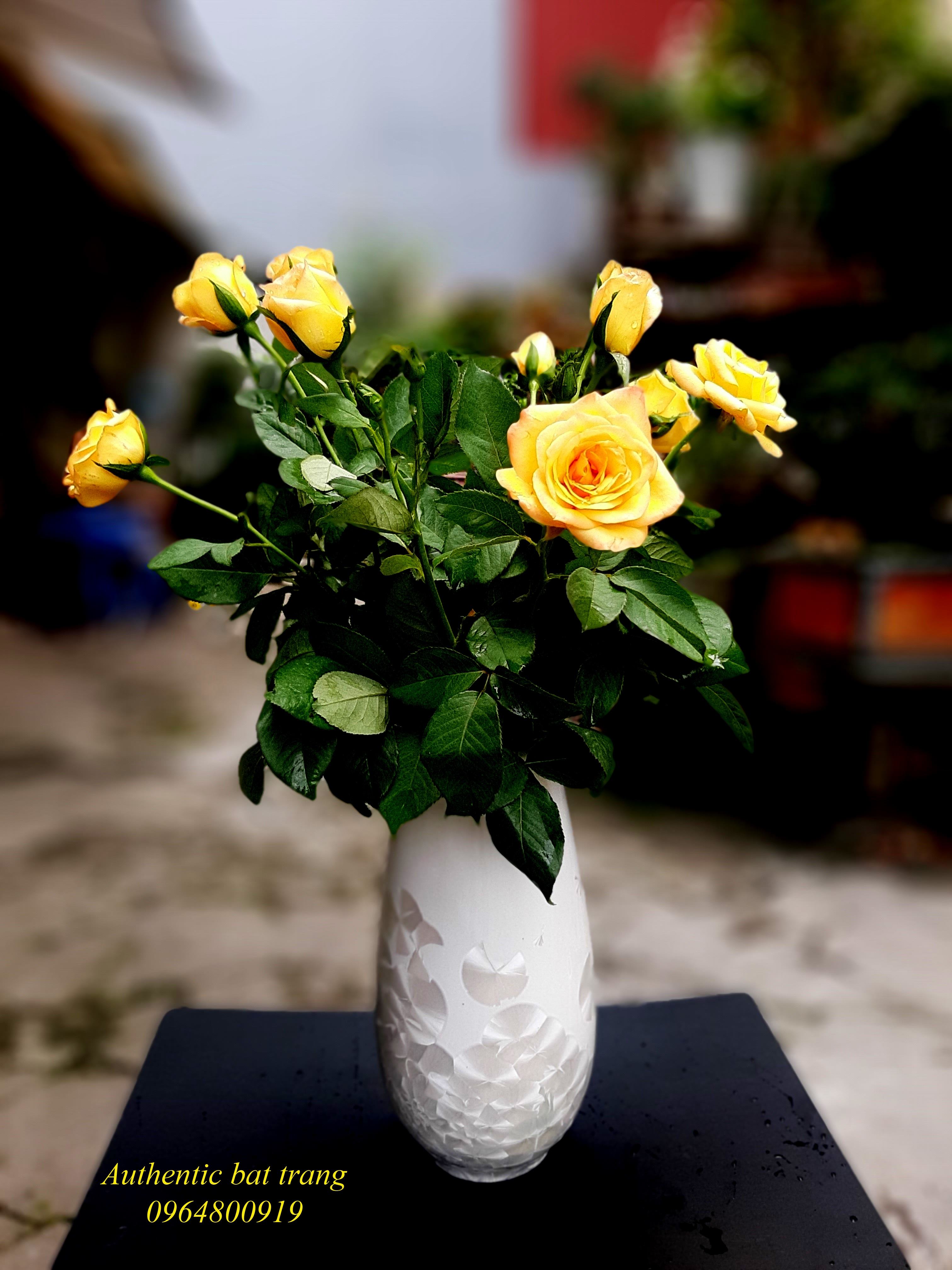 SIÊU RẺ VÀ ĐẸP- Bình cắm hoa size lớn ,men kết tinh TRẮNG sản xuất tại xưởng gốm sứ Authentic bát tràng