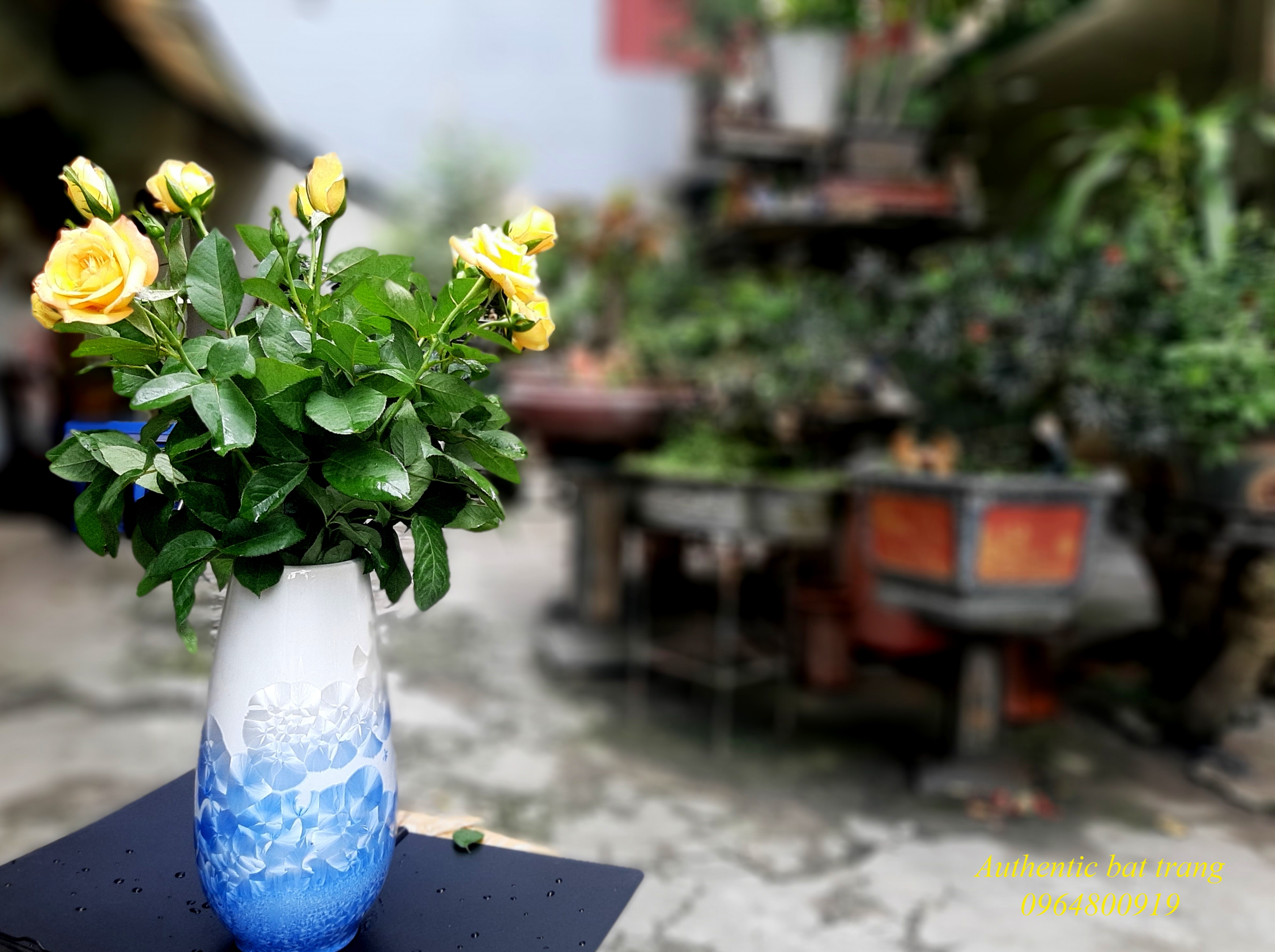 SIÊU ĐẸP VÀ RẺ- Bình cắm hoa size lớn ,men kết tinh xanh sản xuất tại xưởng gốm sứ Authentic bát tràng