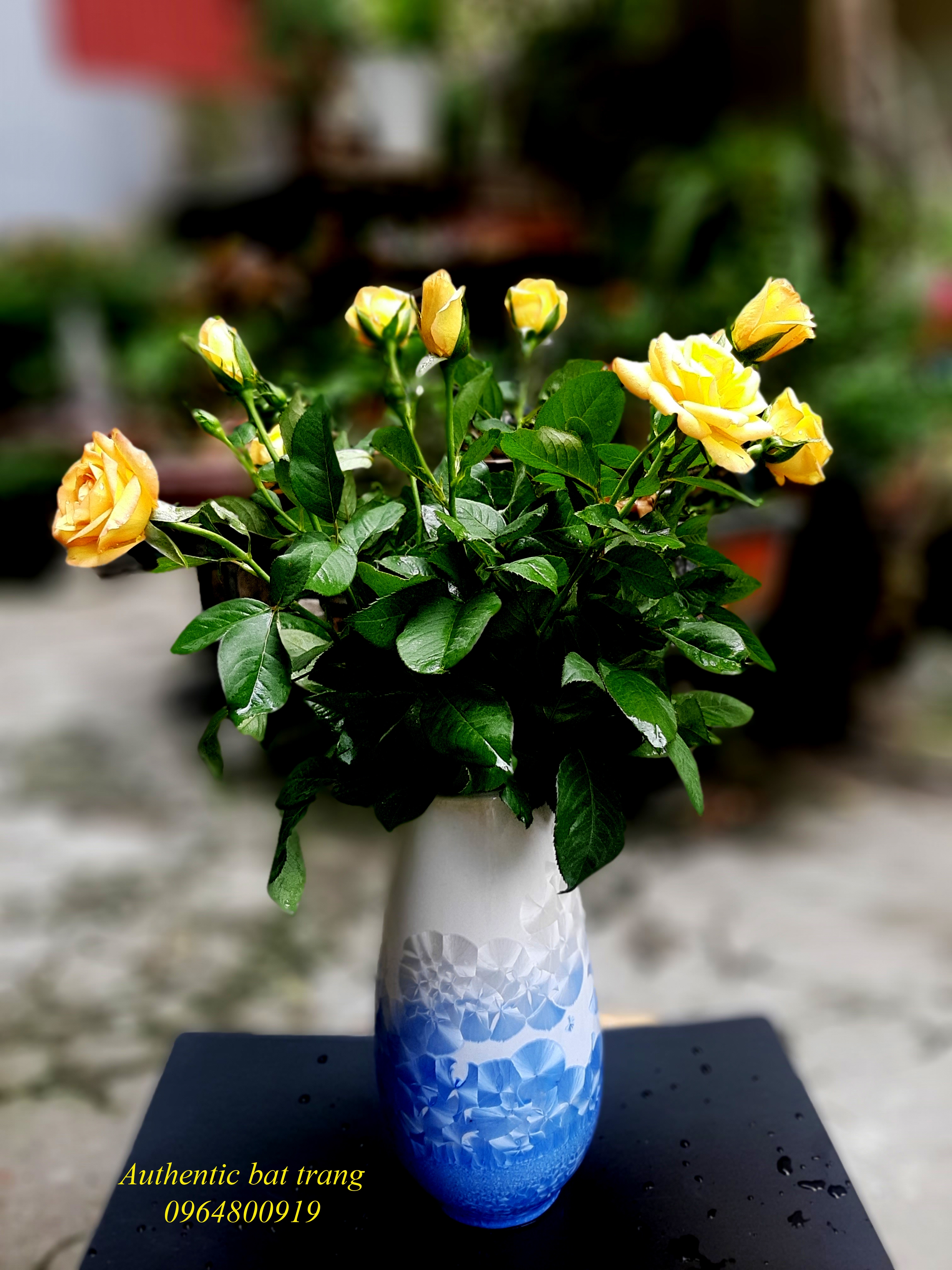 Blue ceramics vase- bình cắm hoa size lớn trang trí phòng khách, phòng ăn